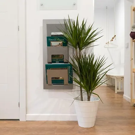 Отель Apartamento Alameda De Colon