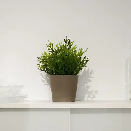 Hotel Apartamento Alameda De Colon Málaga